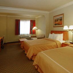 Suite Comfort Suites San Jose Airport Fotos
