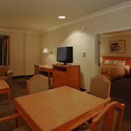 Pokój Comfort Suites San Jose Airport Fotos