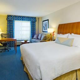 Camera Hilton Garden Inn Tampa Airport-Westshore FL Fotos