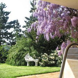 Jardin Gästevilla Fotos