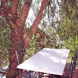  Le Capanne Fotos