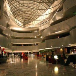 Hall Royal Tulip Brasilia Alvorada Fotos