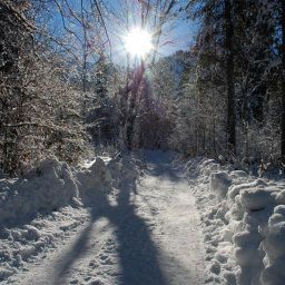  Batznhäusl - Kreuth Gasthof Fotos