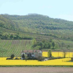  Bauernhof Agriturismo Barchessa Fotos