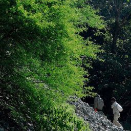Exterior view 5 Elements Kaudiyala Rishikesh Fotos