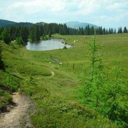  Benedikt Hütte Fotos