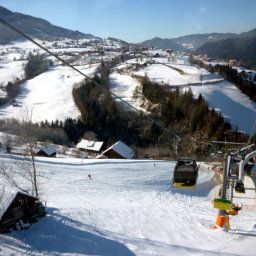  Bauernhof Fenzhof Fotos