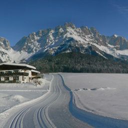 Bauernhof Pension Sunnbichl - Biobauernhof Wolfseggstall Fotos