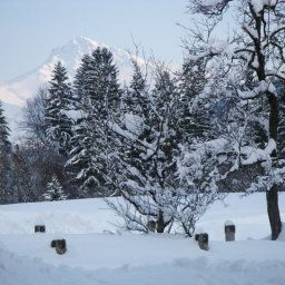Bauernhof Pension Sunnbichl - Biobauernhof Wolfseggstall Fotos