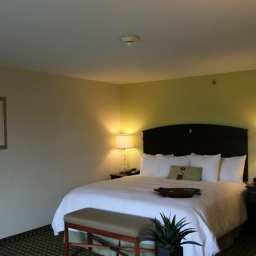 Room Hampton Inn  Suites ClevelandMentor Fotos