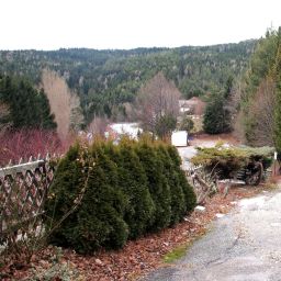Wellnessbereich 3 Länderblick Gasthof Fotos