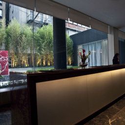 Halle InterContinental NEW YORK TIMES SQUARE Fotos