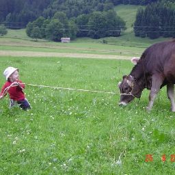  Bauernhof Berlinger Ferienbauernhof Fotos