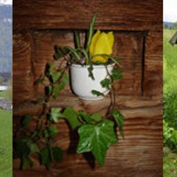  Bauernhof Ferienhof auf der Heidegg Fotos