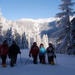  Bauernhof Sennhof Huter kinderfreundlicher Familienbauernhof Fotos