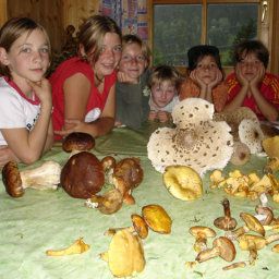  Bauernhof Sennhof Huter kinderfreundlicher Familienbauernhof Fotos