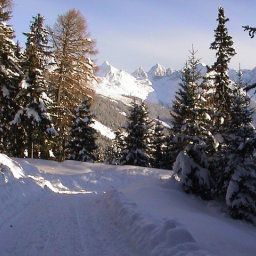  Bauernhof Lentsch Fotos