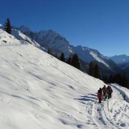  Bauernhof Lentsch Fotos