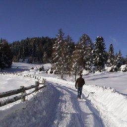  Bauernhof Lentsch Fotos