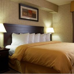 Habitación Quality Hotel & Suites Langley Fotos