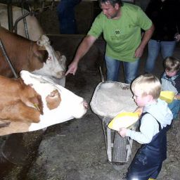  Bauernhof Goerlitzer Fotos
