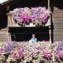  Bauernhof Mesnerhof Fotos