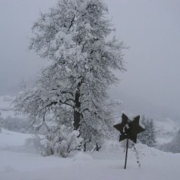  Bauernhof Götzbauer Fotos