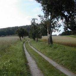  Bauernhof Gasthof Pammer / Jahn Fotos
