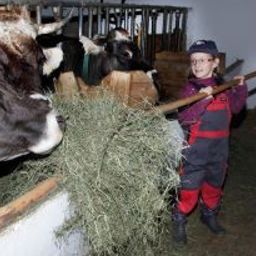  Bauernhof Bio-Ferienbauernhof 