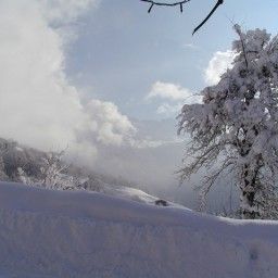 View Bauernhof Urlaub am Bio und Bergbauernhof Saller im Montafon Fotos