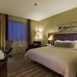 Room Hilton Garden Inn Kutahya Fotos