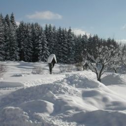  Bauernhof Familie Kerschenbauer Fotos