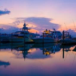  Bimini Bay Resort and Marina Fotos