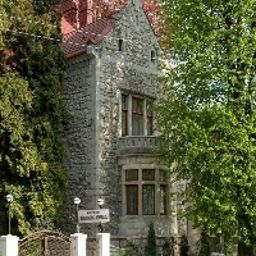 Lion Castle Lemberg