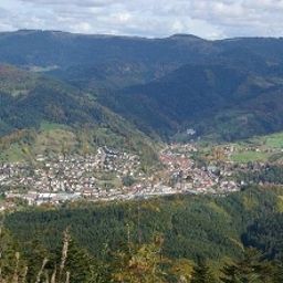 View Finken Gasthaus Fotos