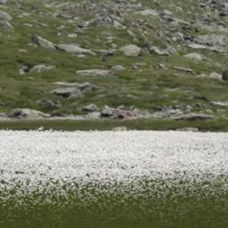  RIFUGIO DORIGONI Schutzhütten Fotos