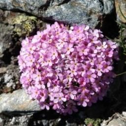  RIFUGIO DORIGONI Schutzhütten Fotos