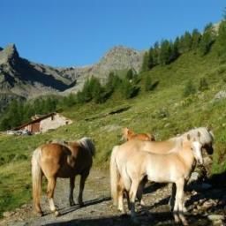  RIFUGIO DORIGONI Schutzhütten Fotos