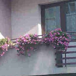 Exterior view Gema Fotos