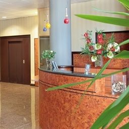 Reception Park & Suites Elegance Lyon Gerland Résidence de Tourisme Fotos