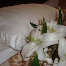 Room Nevsky Breeze Fotos
