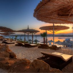 View Le Royale Sonesta Sharm Resort Fotos