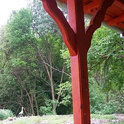 Garten Szoke Tisza Pihenopark Fotos
