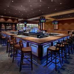 Bar Hilton San Diego Bayfront Fotos