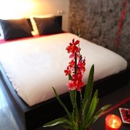 Chambre Komorowski Luxury Guest Rooms Fotos