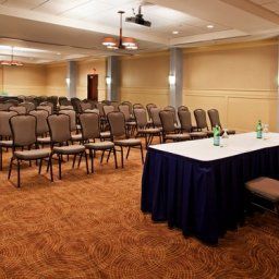 Sala congressi Holiday Inn DETROIT METRO AIRPORT Fotos