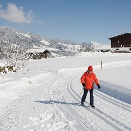 Environnement Loipenstub'n Fotos