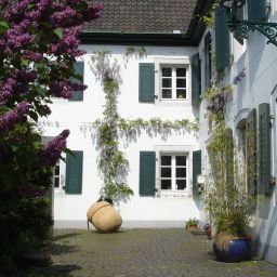 Außenansicht Rhein River Guesthouse Fotos