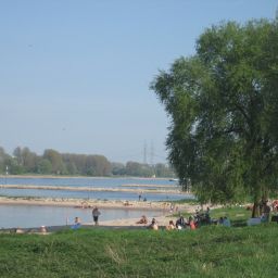 Umgebung Rhein River Guesthouse Fotos
