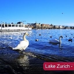  RAMADA Zürich City Fotos